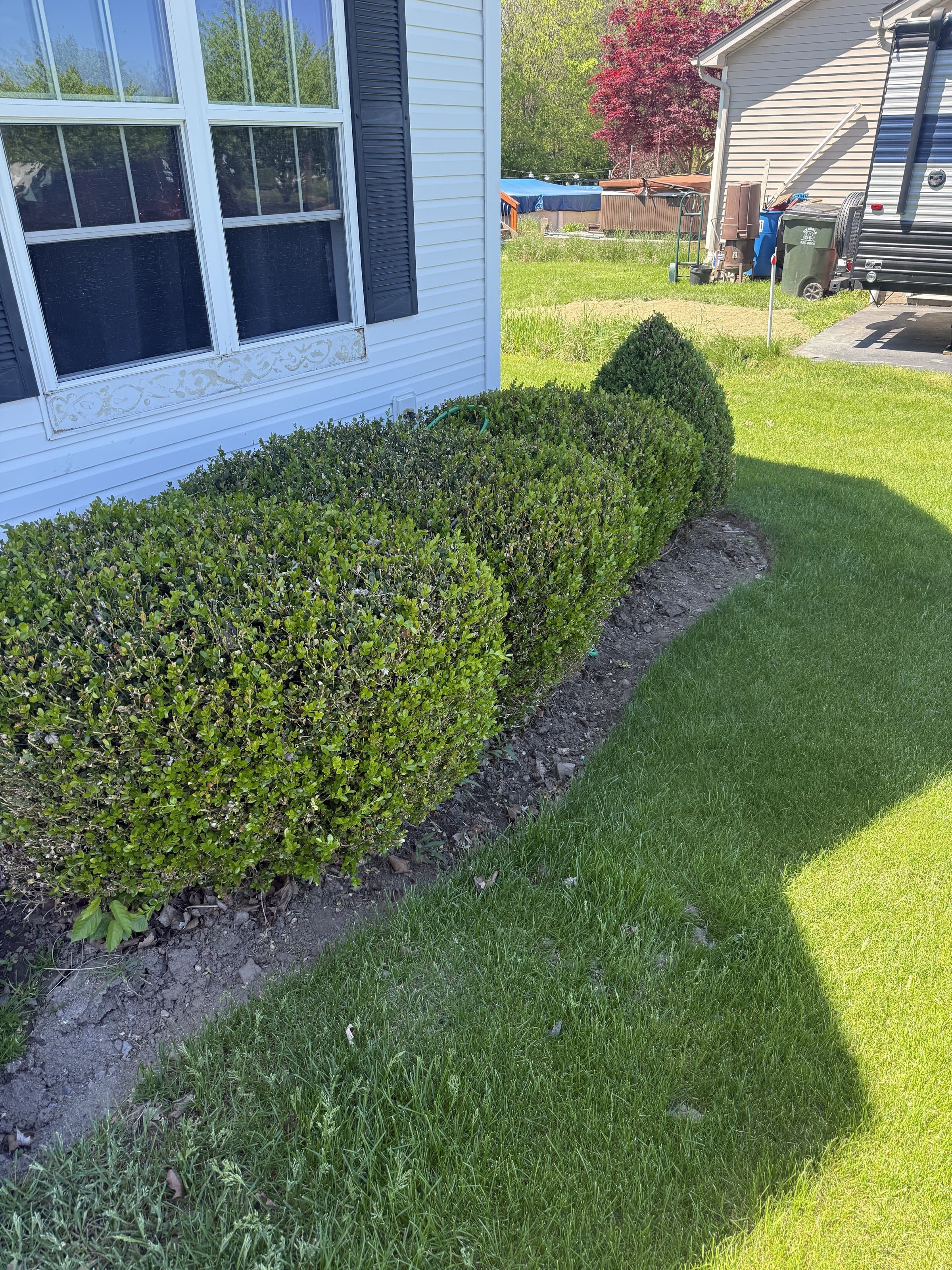 Hedge & shrub trimming