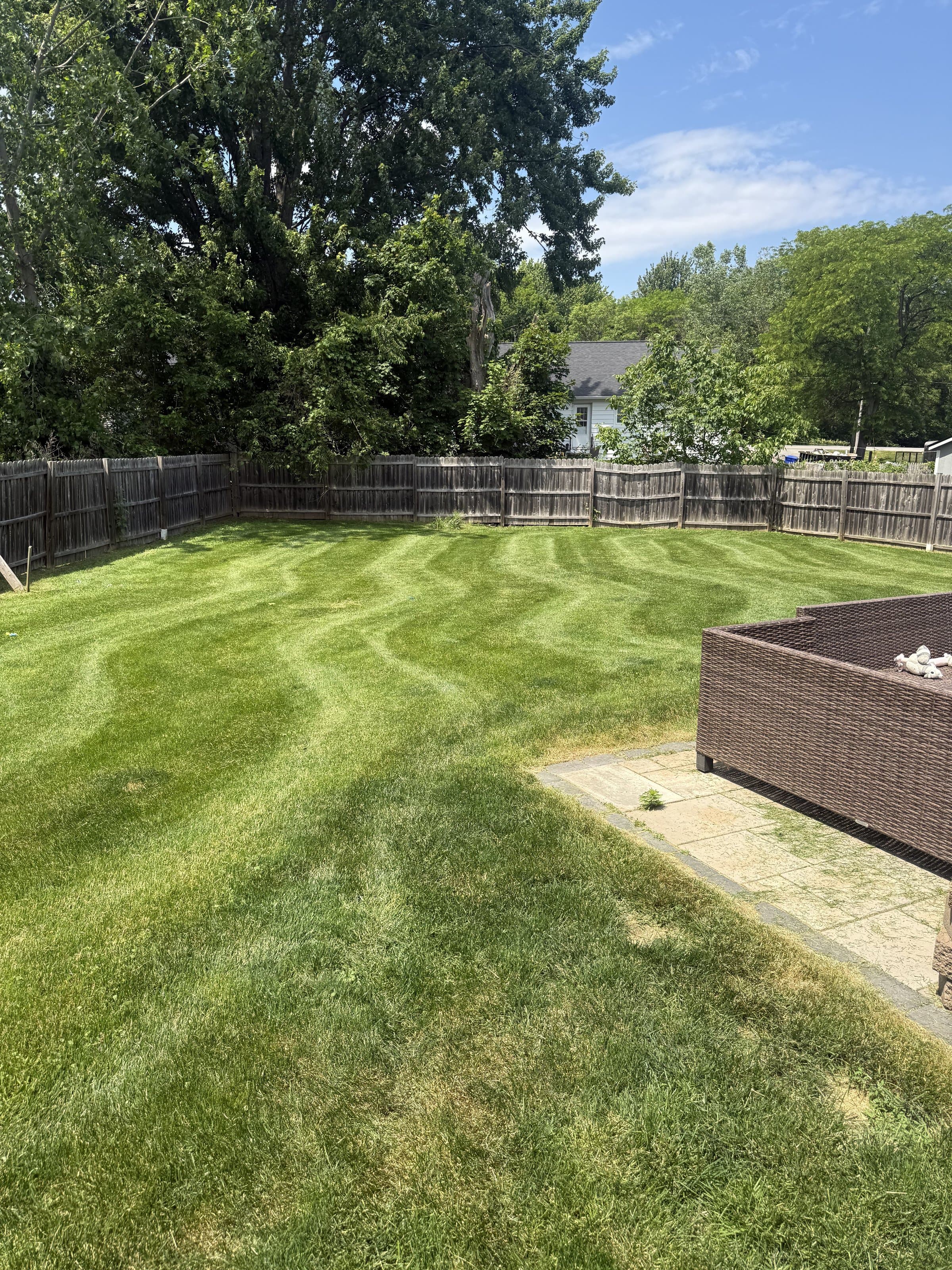 Freshly striped lawn mowing