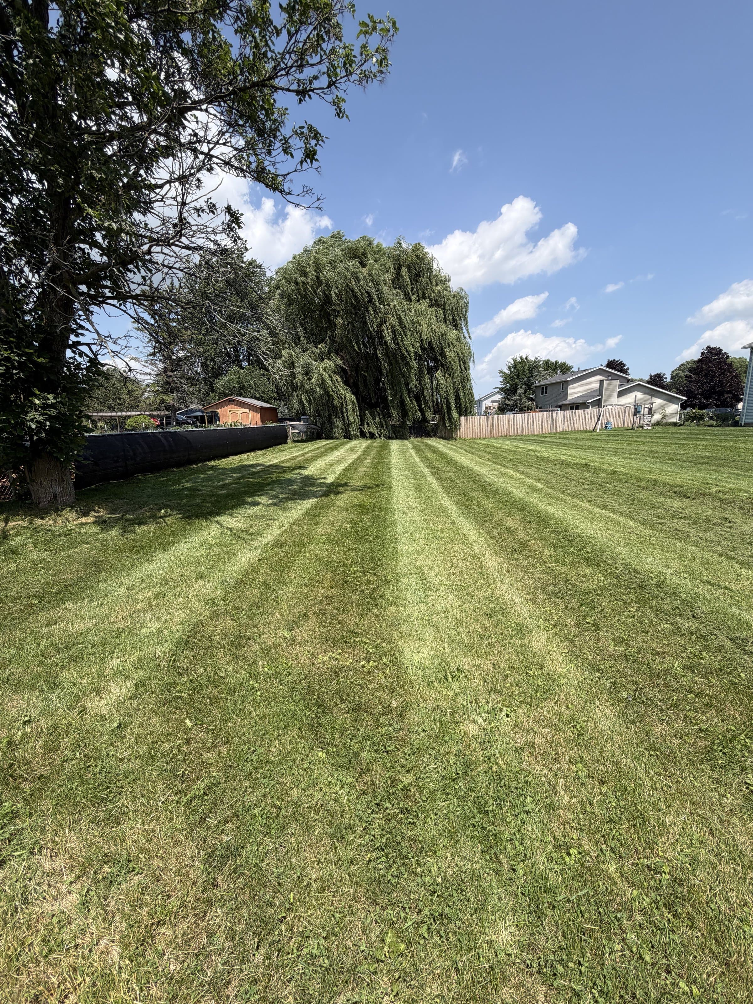 Precision-striped backyard mowing