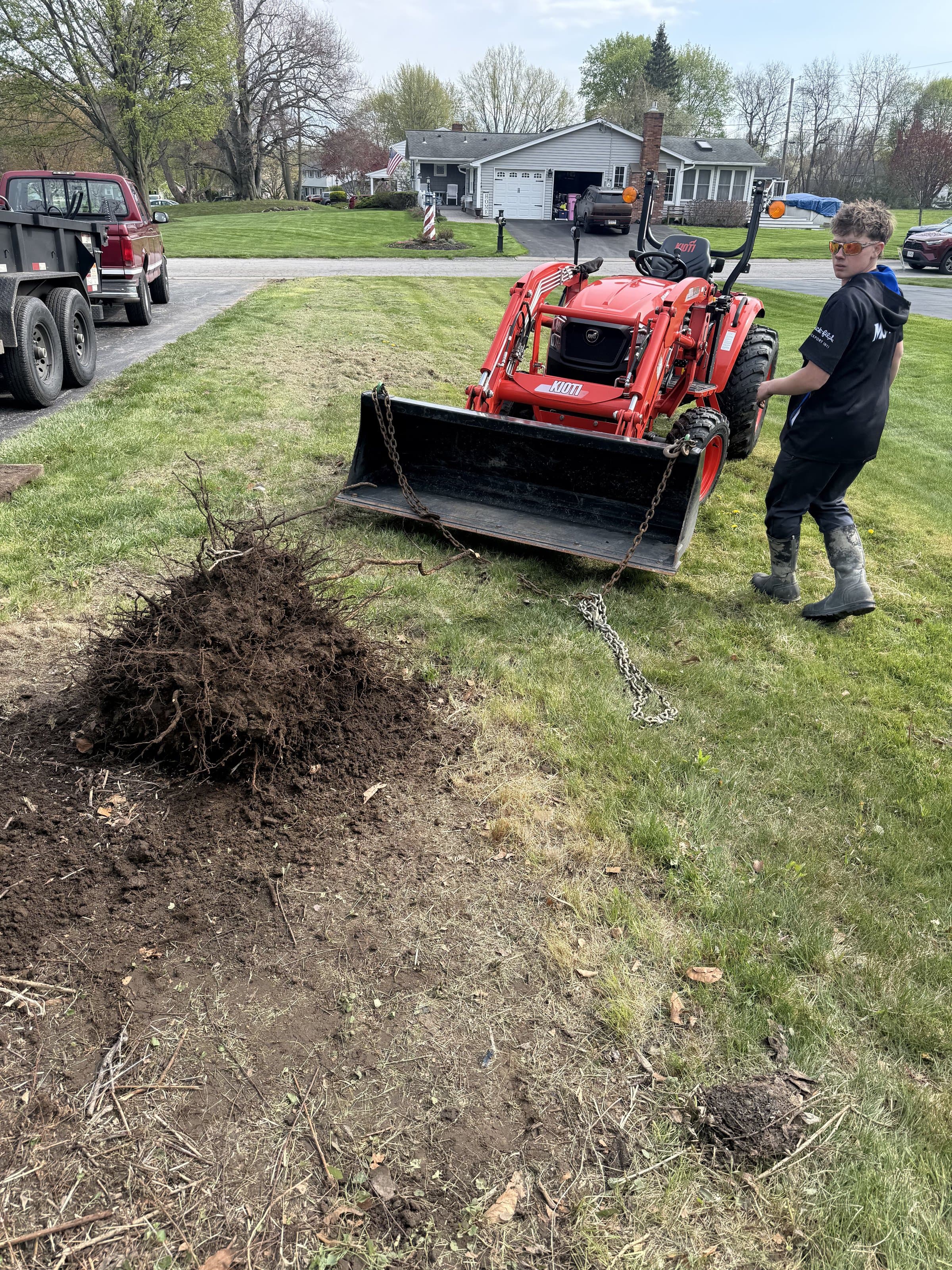 Shrub & root removal